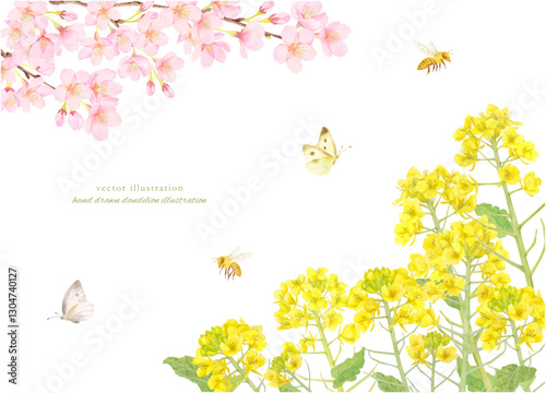 水彩で描いた桜と菜の花のフレーム背景素材
