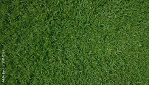 Wallpaper Mural 잔디 질감 배경 Torontodigital.ca