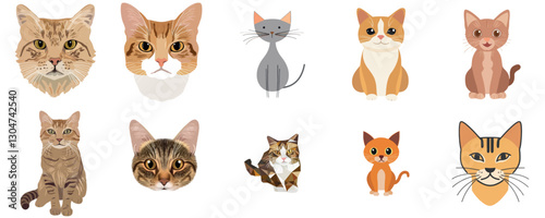 Cats and Kittens Various Breeds and Styles