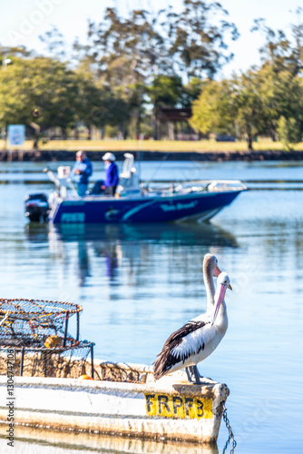 Two pelicans sitting on the side of a fishing boat