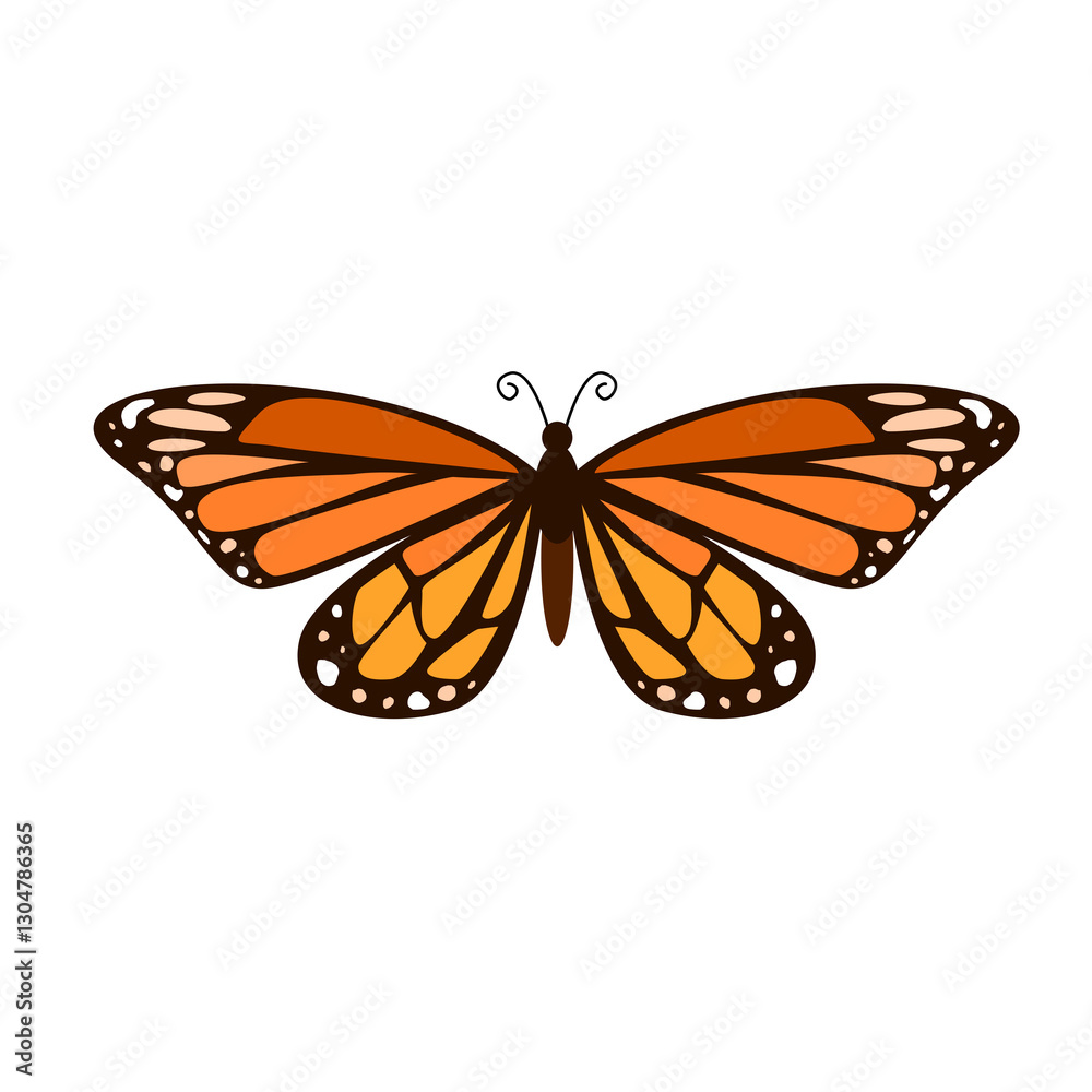 Fototapeta premium butterfly on white background