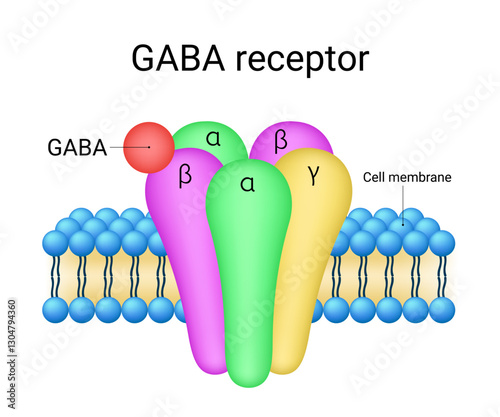 Schematic Diagram of GABA receptor