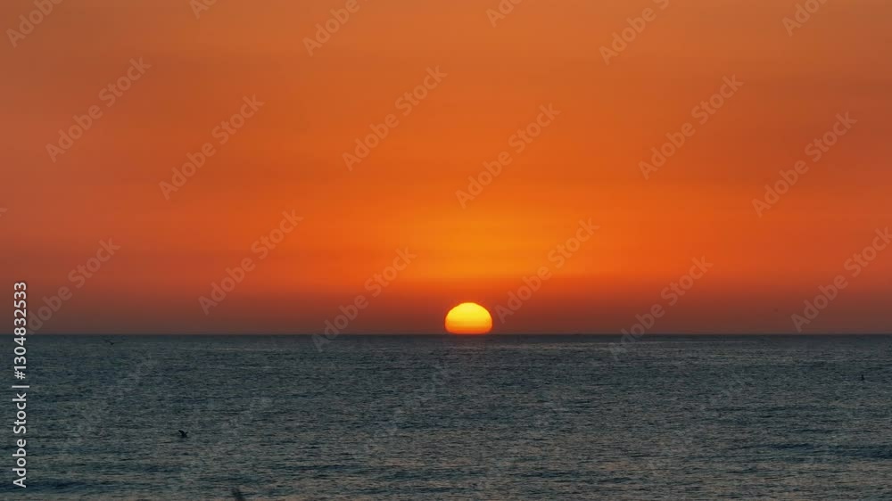 Aerial view of sunrise over sea with glowing sun touching horizon. Single bird flies across sky, adding dynamic movement peaceful ocean landscape bathed in warm orange tones. Aerial view of sunrise over sea with glowing sun touching horizon. Single bird flies across sky, adding dynamic movement peaceful ocean landscape bathed in warm orange tones.