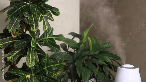 Humidifier releasing water vapor in a room with plants