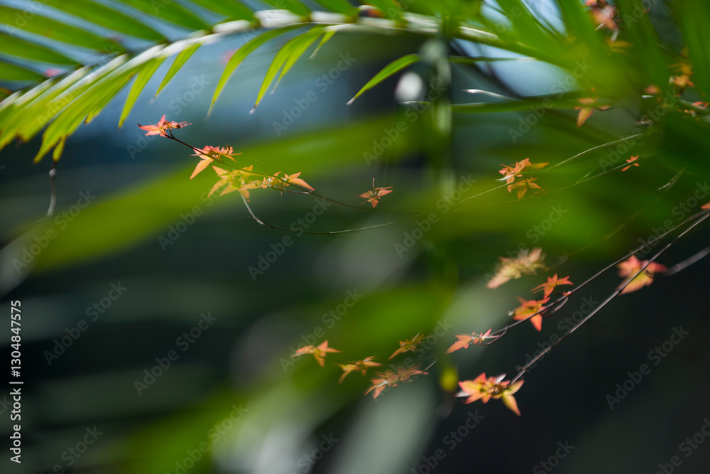 spider on a web spider on a web