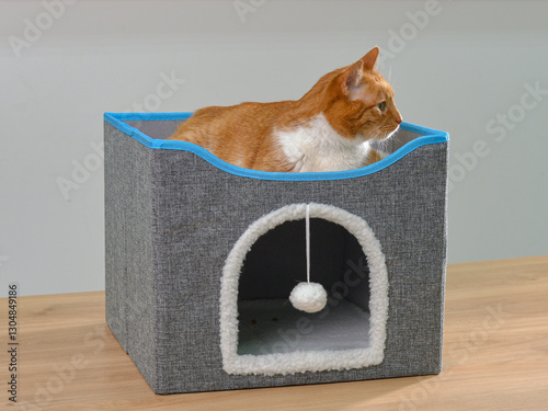 кошка лежит наверху домика для животных