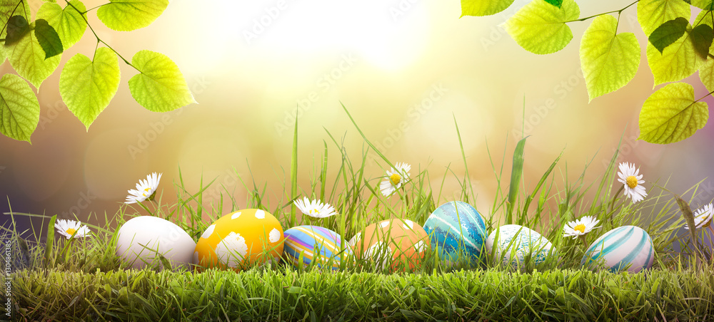 Seven painted easter eggs celebrating a Happy Easter on a spring day with a green grass meadow, bright sunlight, tree leaves and a warm colour background with copy space.