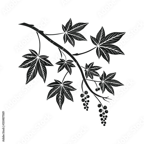 Set of Plant Pictograms, Liquidambar Styraciflua Tree Leaves vector art drawing