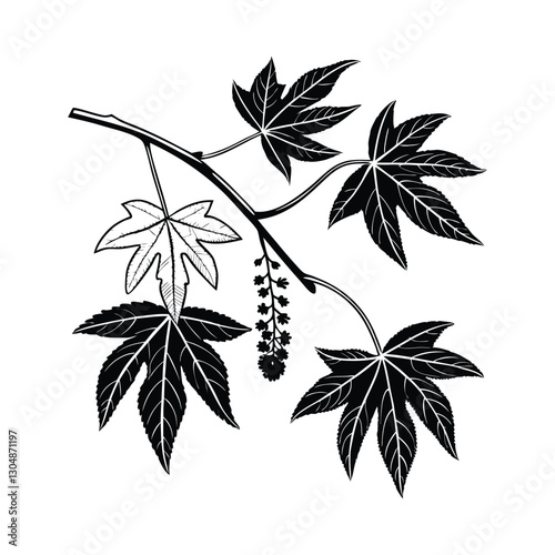Set of Plant Pictograms, Liquidambar Styraciflua Tree Leaves vector art drawing