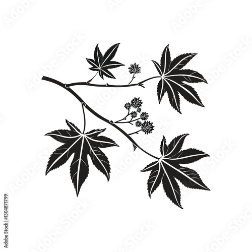 Set of Plant Pictograms, Liquidambar Styraciflua Tree Leaves vector art drawing