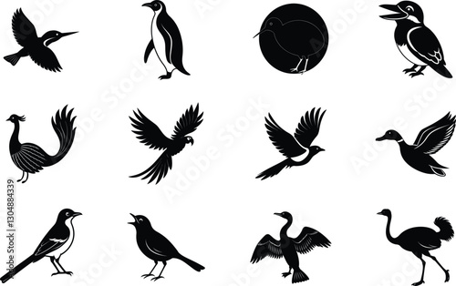 Silhouette Collection of Diverse Flightless and Flying Birds