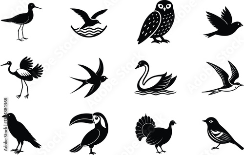 Diverse Bird Species Silhouettes of Avian Wildlife Illustrations