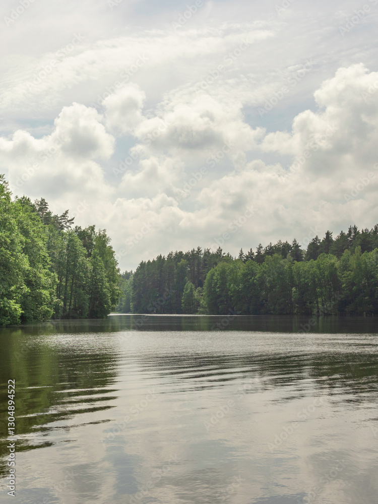Fototapeta premium Calm lake with trees in the background