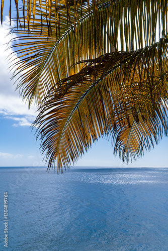 Sea view through the palm leaves. Beautiful blue ocean and sky. Tenerife, Canary Islands, Spain. photo