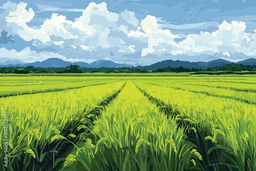 Green Rice field and sky landscape background, Flat style cartoon vector illustration