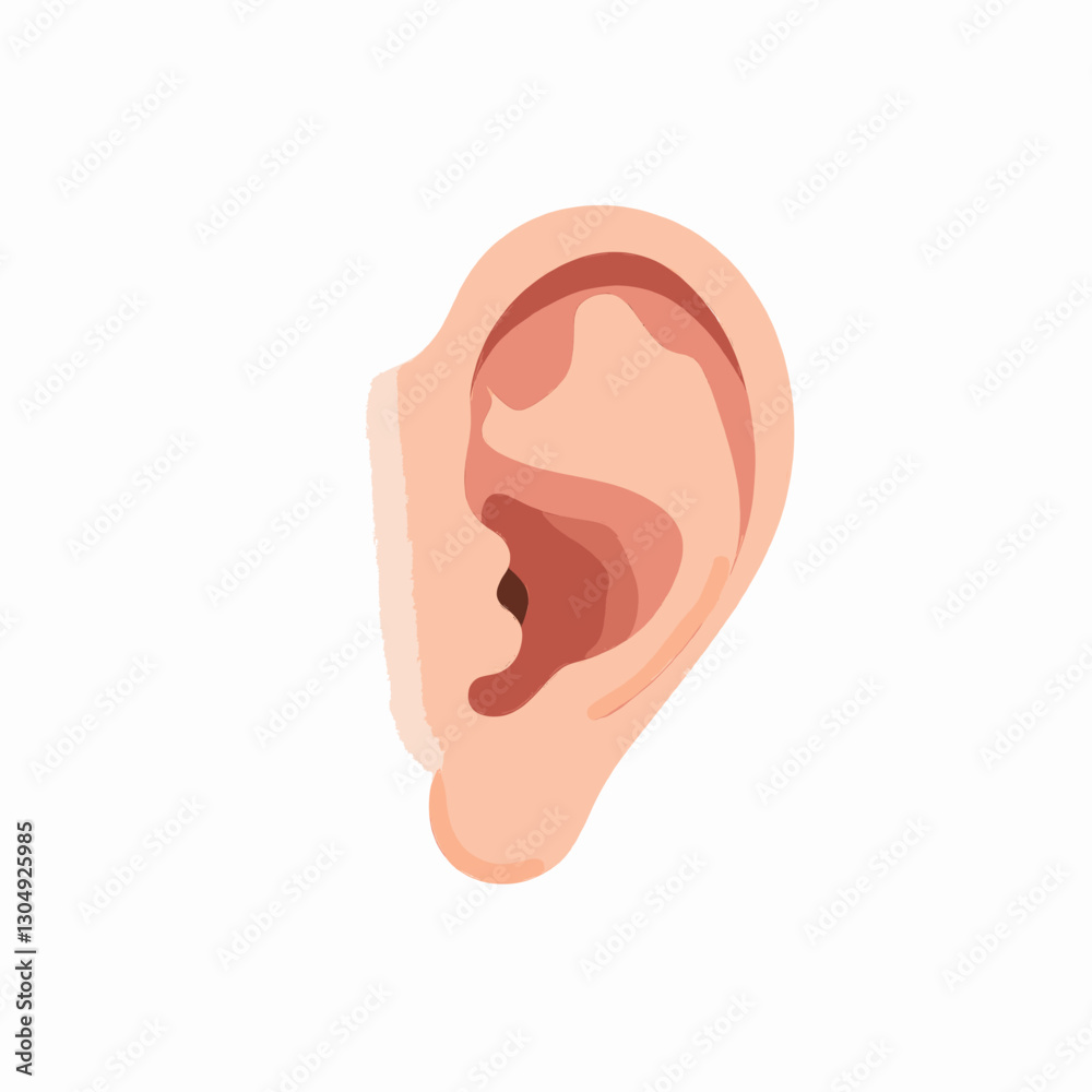 Illustrated peach ear on white background Illustrated peach ear on white background