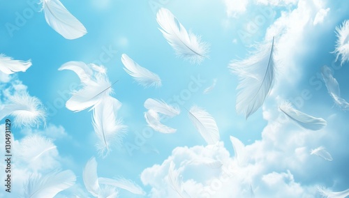 Fototapeta Naklejka Na Ścianę i Meble -  Floating feathers in a light sky