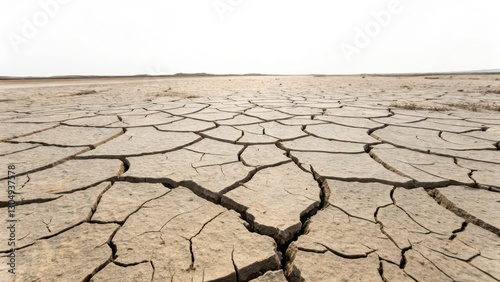 Dry Cracked Earth on White Background