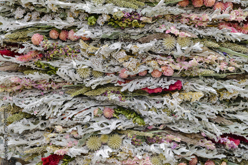 Wallpaper Mural Decorative panel composed of dried wild plants, flowers and lichens Torontodigital.ca