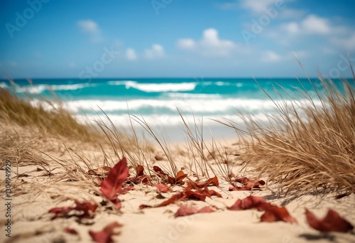 A beach with sand, grass, and red leaves. photo