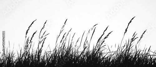 Wild grass silhouette swaying against white sky  
