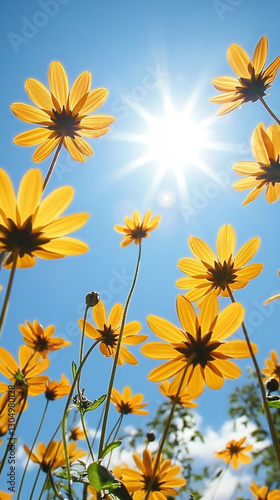 Vibrant yellow wildflowers reaching toward a bright sun in a clear blue sky captured from a low-angle perspective

