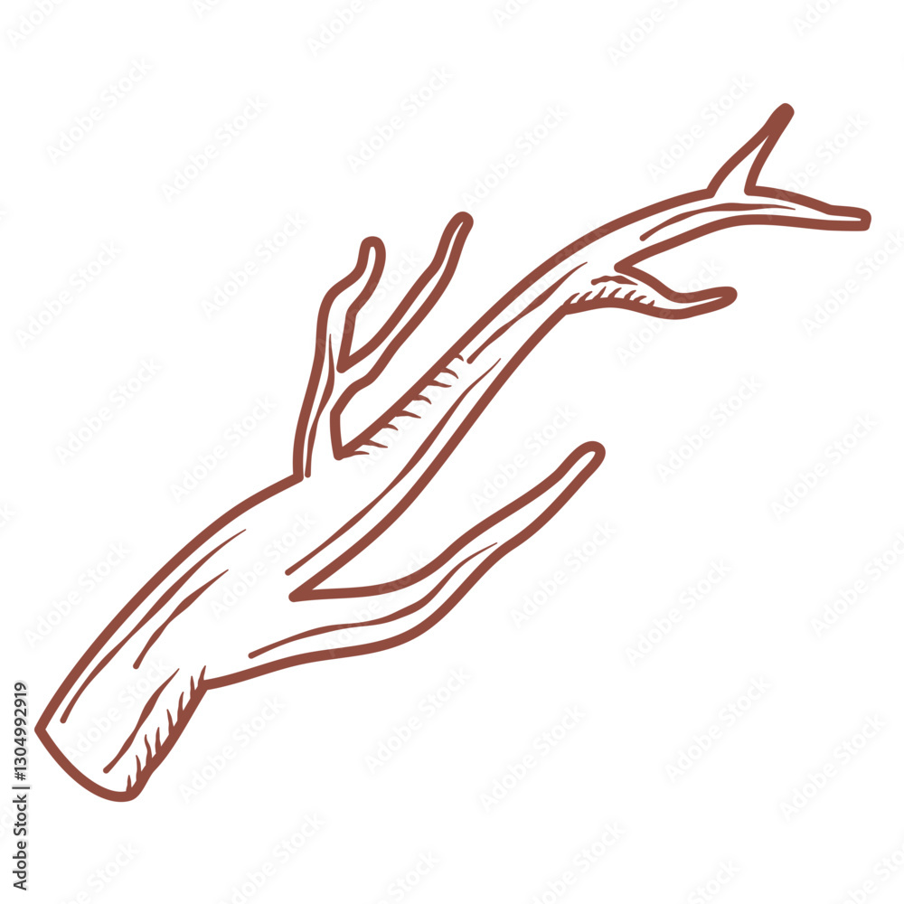 tree branch lines vector icon
