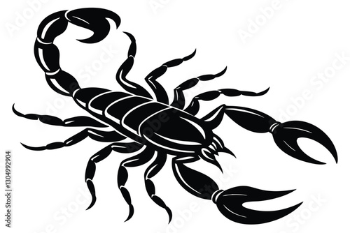 scorpion species Palamedes fulvenes vector