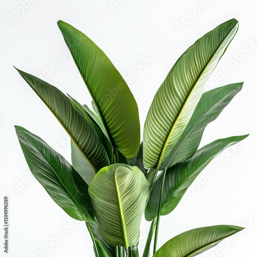 Artificial Bird of Paradise Plant with Lush Green Leaves Against White Background