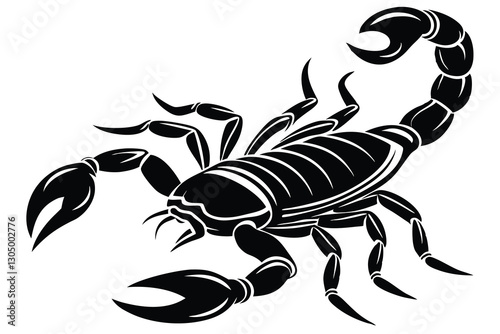 black scorpion species Palamedes fulvenes vector art illustration