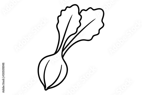 Rhubarb Botanical Line Art Drawing for Organic Food Packaging

