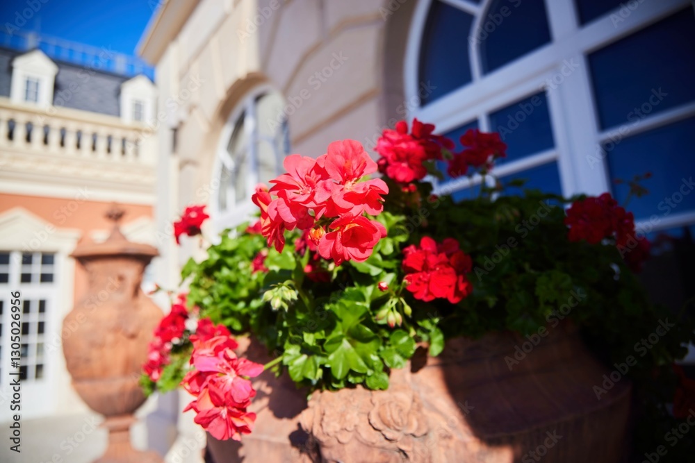 Fototapeta premium Bright red flowers in a vase