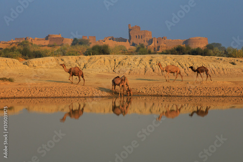Moj Garh Fort, This fort was made in mid the 18th century by Muhammad Maroof Khan Kehrani. photo