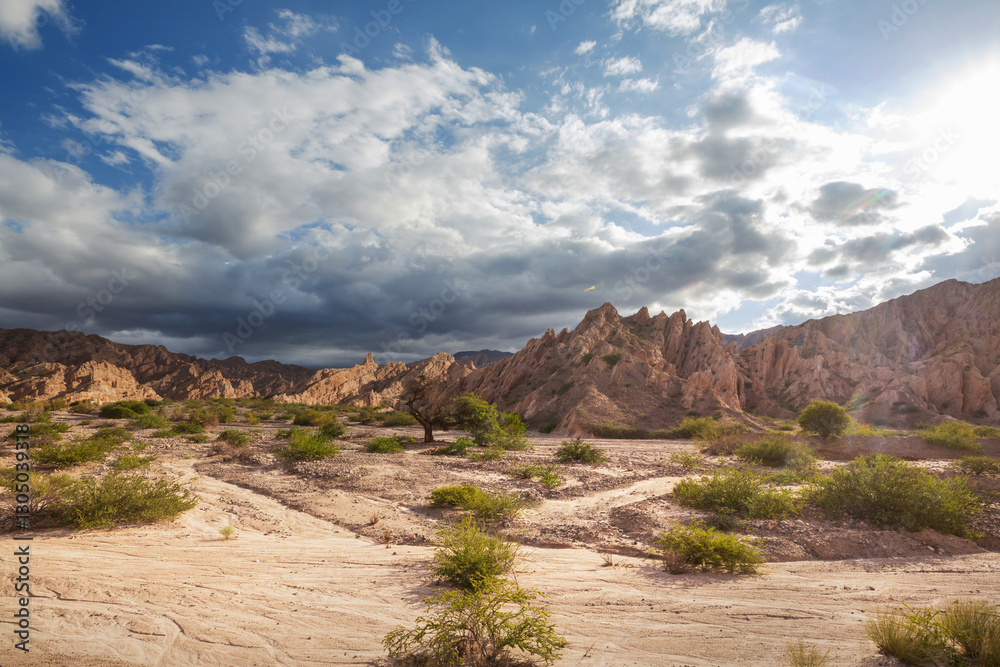 Fototapeta premium Cafayate