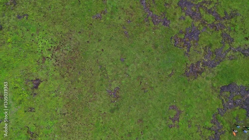 Wallpaper Mural Into the Wild: Visapur Fort Torontodigital.ca