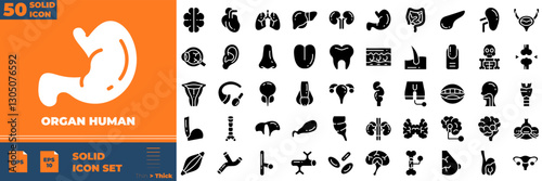 Organ Human Solid Editable Icons set. Vector illustration in modern thin solid style of organ human icons: eye, nose, mouth, ear, etc