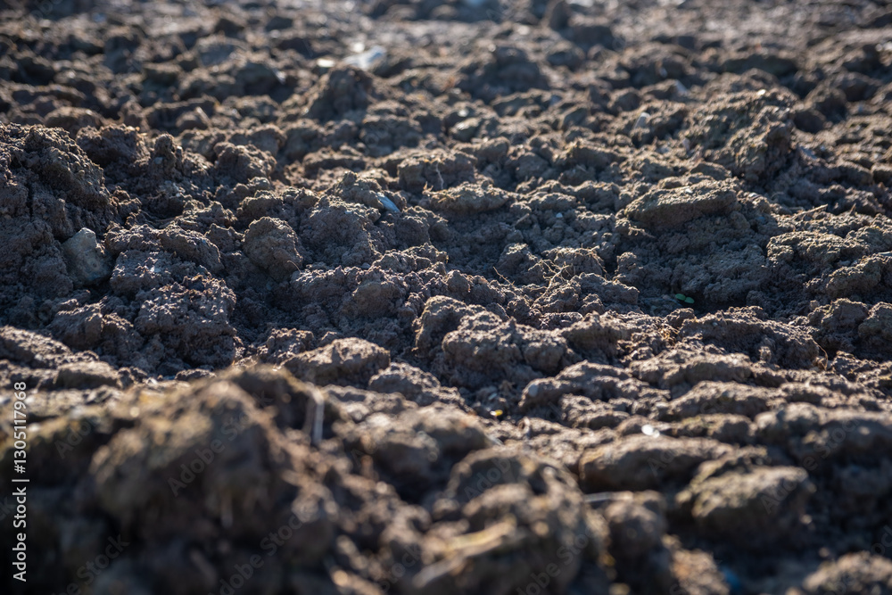 Close-up of freshly plowed soil, detailed texture of agricultural land