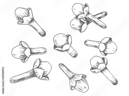 Detailed cloves spice sketch illustration, showcasing dried buds in vintage style. Perfect for culinary designs, food packaging, botanical art, and aromatic spice-themed projects.