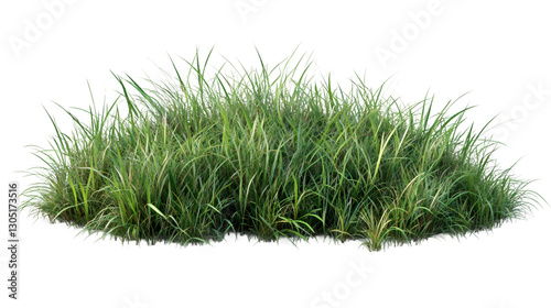 Photorealistic grass tuft against transparent backdrop, enhancing architectural rendering and creative design projects