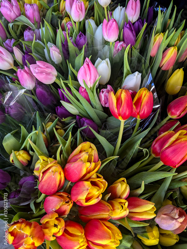 A vibrant display of multicolored tulip bouquets with shades of pink, purple, white, red, and yellow, wrapped in plastic and arranged closely together