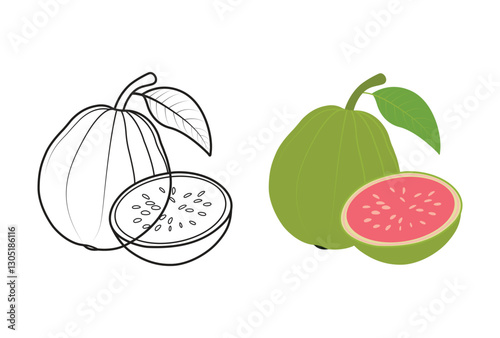 Green guava and line art vector illustration