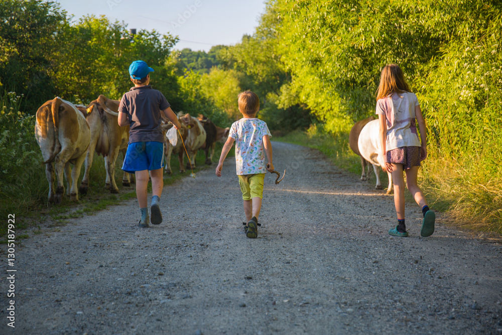Obraz premium Children Walking Cows on a Rural Path Surrounded by Lush Green Nature in Summer