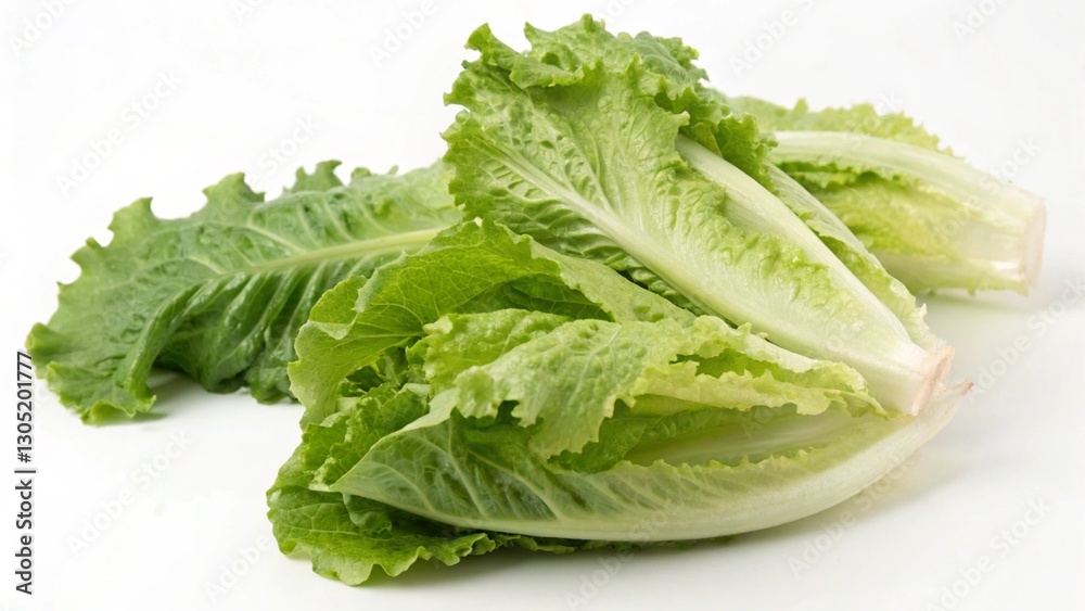 Lettuce On White Background Lettuce On White Background