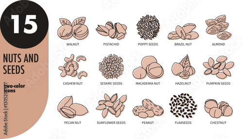 Set of nuts and seeds thin line icons with beige fill. Walnut, pistachio, almond, hazelnut, flaxseed, macademia, sunflower seeds, pumpkin seeds, cashew, chestnut, sesame, peanut, vector illustration