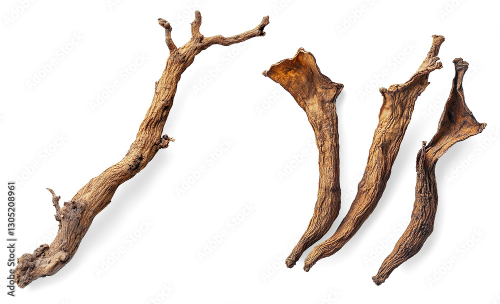 Twisted Dry Tree Branch on a Transparent Background Twisted Dry Tree Branch on a Transparent Background