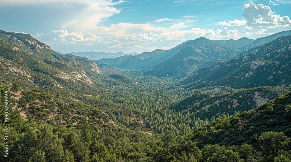 Fototapeta premium A breathtaking view of a vast mountain range, covered in lush green vegetation under a partly cloudy sky. The valley below is filled with dense pine forest, creating a stunning natural landscape.