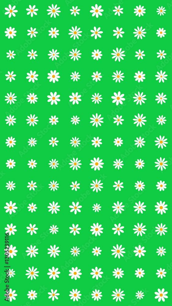spring daisy flowers pattern on green background animation, nature springtime cosmetics and beauty vertical social media motion design element spring daisy flowers pattern on green background animation, nature springtime cosmetics and beauty vertical social media motion design element