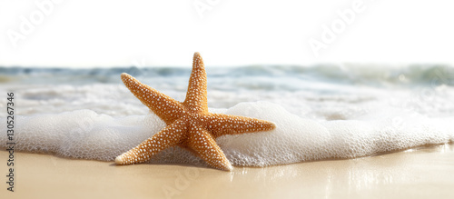 Summer scene with a starfish on the beach
