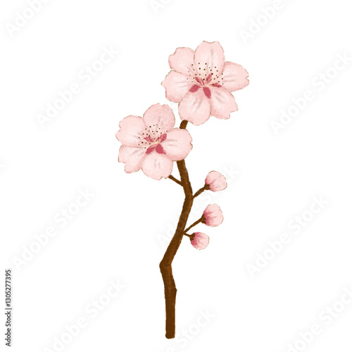 pink cherry blossom