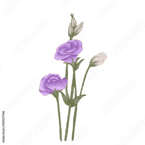 wild flowers
